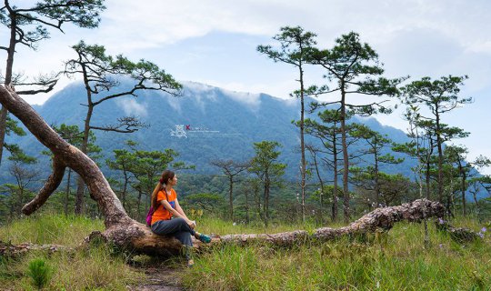 Cover Phu Soi Dao: Heaven of the Na-Klang Flower Fields...
