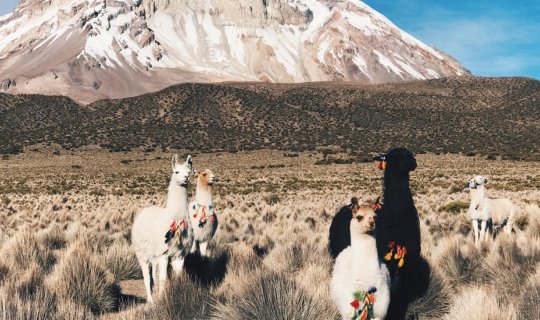 cover Bolivia: A Country You May Not Know, But It Has a Surprise!