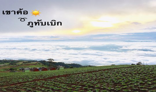 cover City of Mist at Phu Thap Boek - Khao Kho