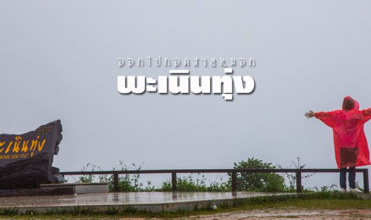 cover Embrace the mist that hangs over the rolling hills.