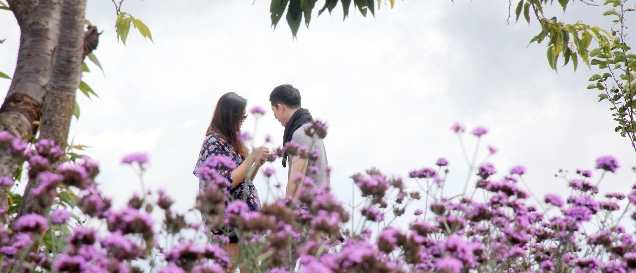 cover #The Purple Majesty Review: Le Jardin De Maejo, a European-style residence nestled in the embrace of mountains and the charm of Mon Cham during the rainy season.