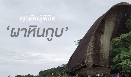 cover You are the conqueror of "Koop Rock".