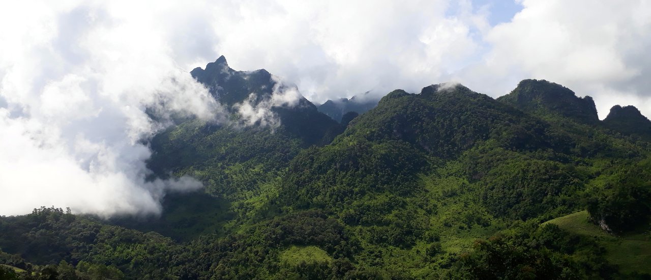 cover Doi Luang Chiang Dao on a dreamy day.