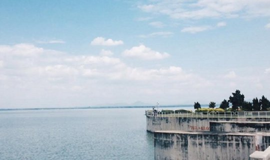 Cover Lost and ended up at the "Pa Sak Cholasit Dam Sunflower Field, Lopbu...