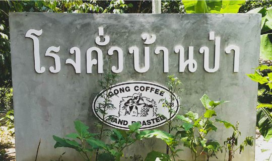 Cover Ban Pa Coffee Roastery: Freshly Roasted Coffee in Phatthalung Provin...