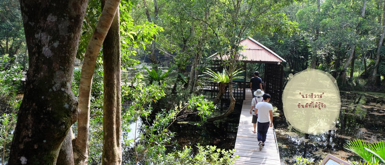 cover Narathiwat: Delighted to Meet You Day 2: Testing Your Fitness with Whitewater Rafting at Golden Mountain