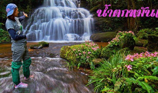 Cover Man Daeng Waterfall in Phu Hin Rong Kla National Park: Where Flowers...