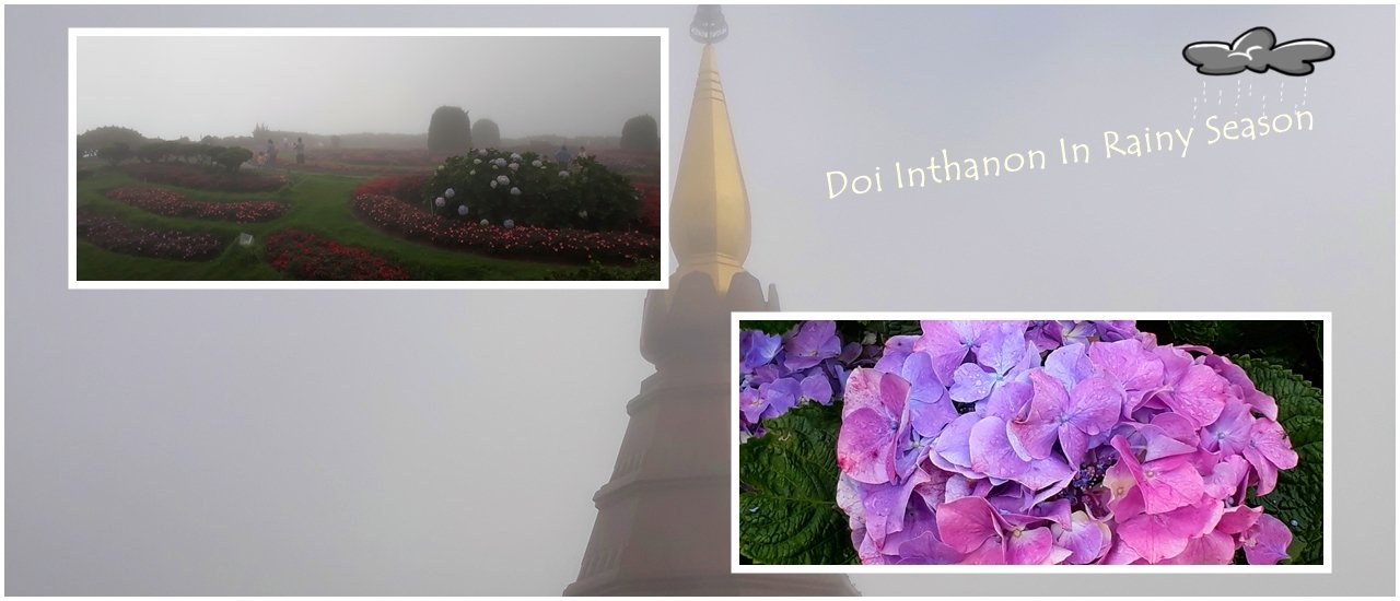 cover Doi Inthanon in the rainy season, a cool, misty, and dreamy place.