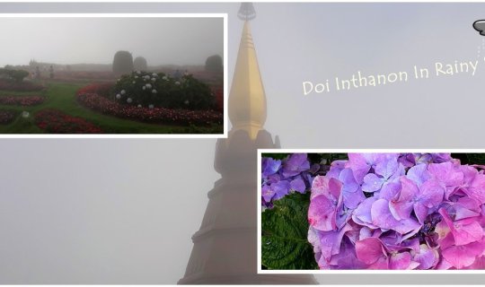 cover Doi Inthanon in the rainy season, a cool, misty, and dreamy place.