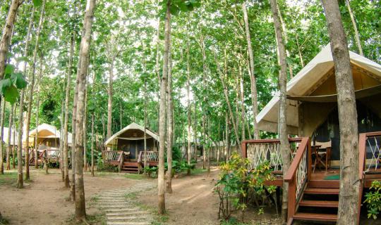 cover Let's Take a Free Train to Kanchanaburi, Camping at Hintok River Camp & Appreciating History and Adventure at Hellfire Passl!!!