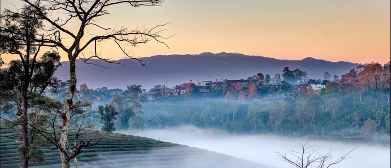 cover Dek Jew Chill Out @ Chiang Rai - Chui Fong Tea Plantation, the Sea of Mist, and Chiang Rai Flower Festival.