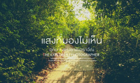 Cover The Invisible Light: A Journey Through Erawan National Park...