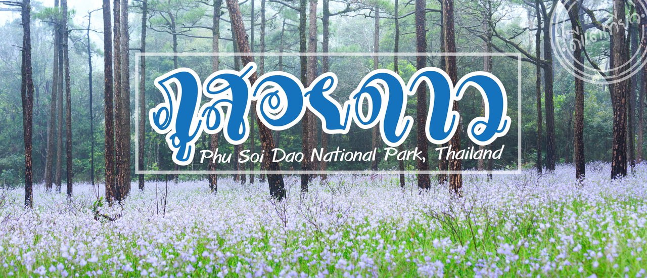 cover "Phu Soi Dao: The Joyful Hardships of Rain, Mist, and Wildflowers"