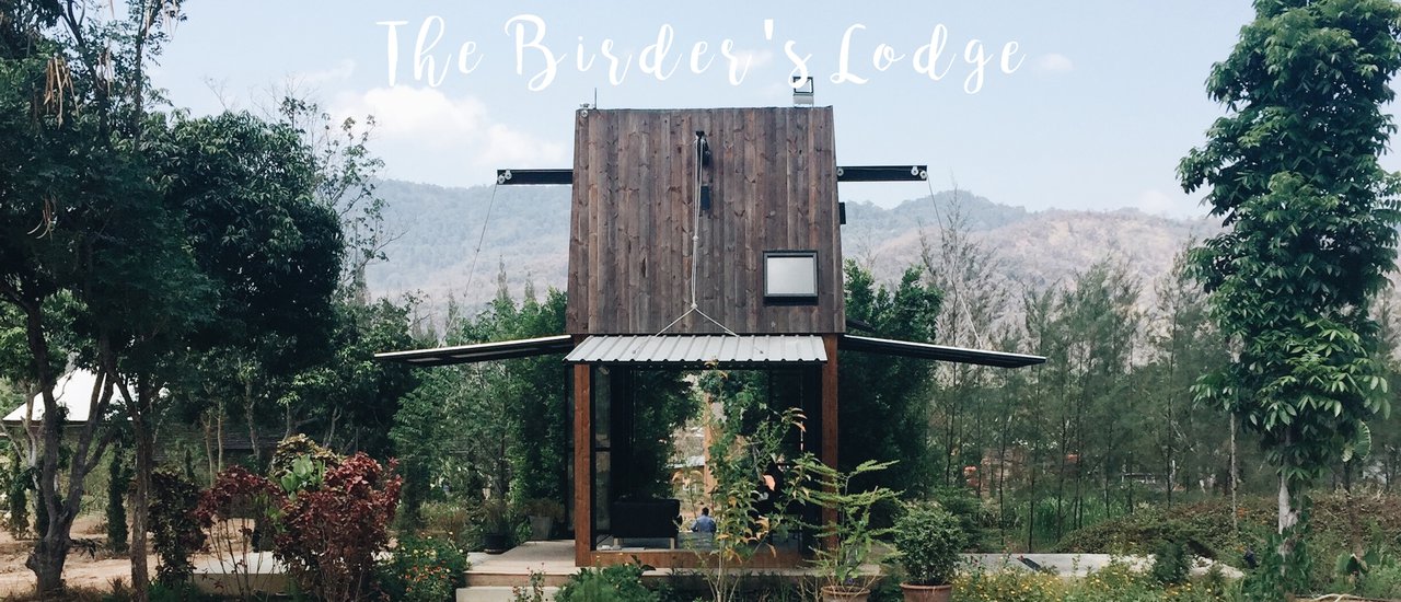 cover Sleep or enjoy a coffee at The Birder's Lodge.

Source:ชอบวันหยุด