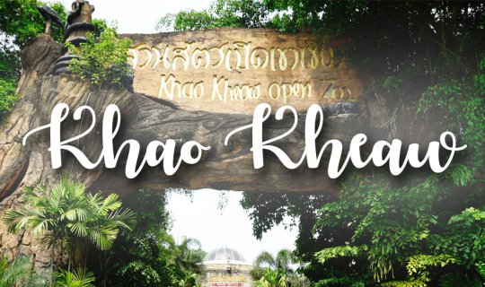 Cover A Trip Down Memory Lane: Exploring Khao Kheow, Savoring Forest Cuisi...