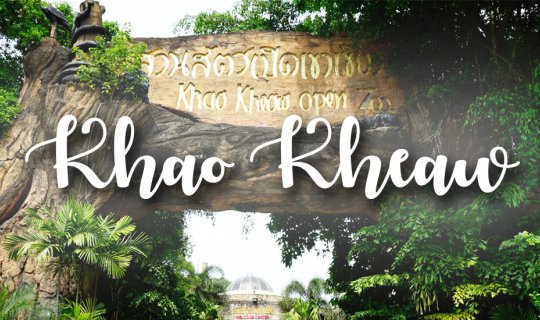 cover A Trip Down Memory Lane: Exploring Khao Kheow, Savoring Forest Cuisine, and Visiting Bangsaen Beach