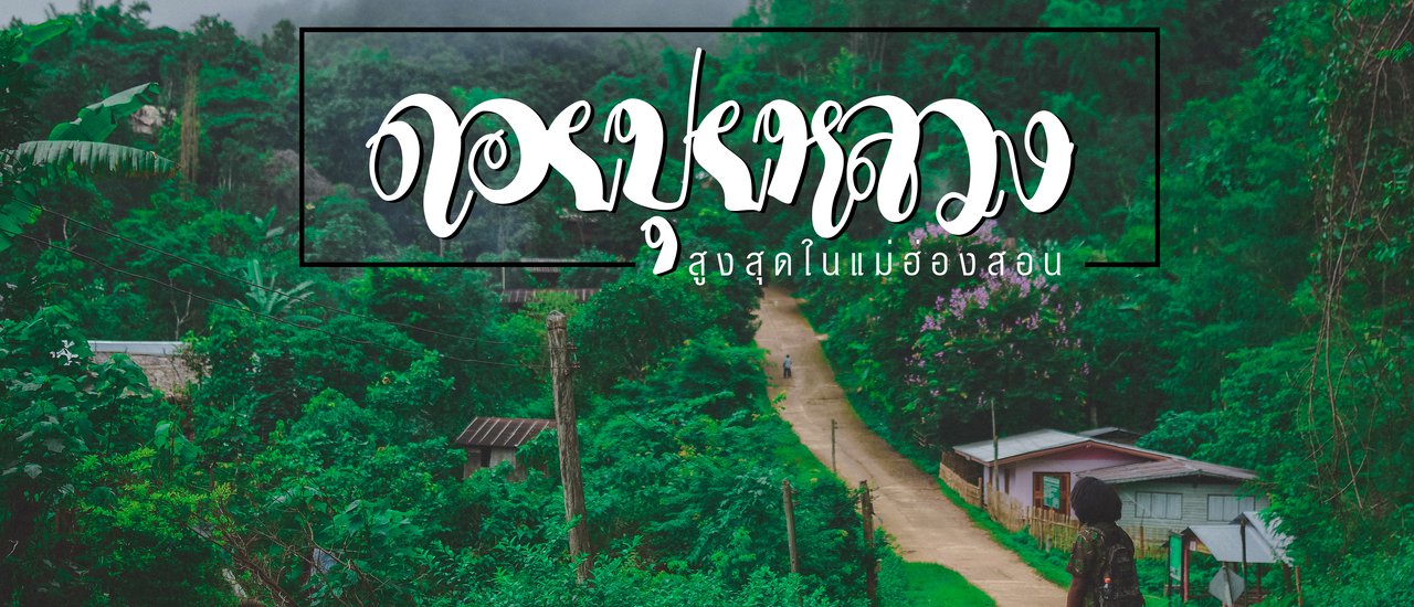 cover From the city to the peak of Doi Pui Luang, the highest peak in Mae Hong Son (without a private car).