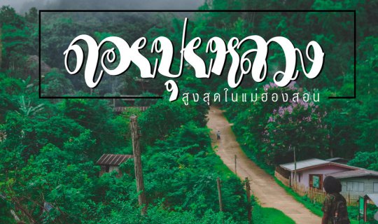 cover From the city to the peak of Doi Pui Luang, the highest peak in Mae Hong Son (without a private car).