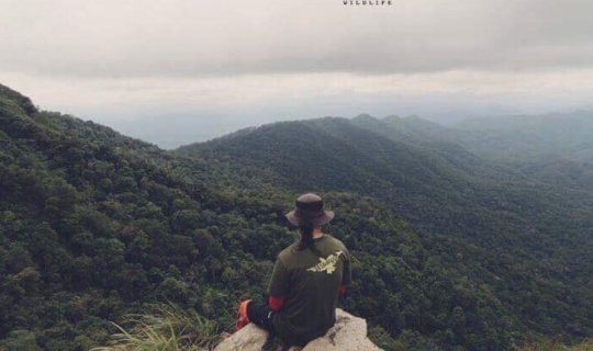 cover Doi Luang Tak: Nature's Enduring Beauty
Doi Luang Tak, a mountain in Thailand, is a place where nature's beauty is always on display.