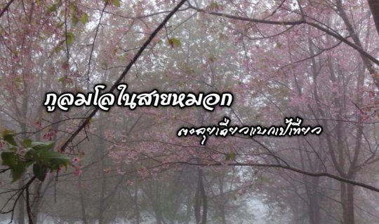 Cover The Misty Peak of Phu Lom Lo...