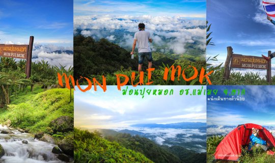 Cover Trip canceled, Mon Phu Doi fog, I want to tell you that I love you, ...