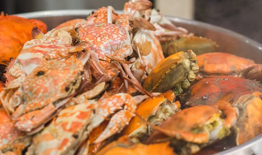 cover Unlimited Crab Roe Buffet at The Landmark Bangkok Hotel

Enjoy an all-you-can-eat crab roe buffet at The Landmark Bangkok Hotel.
No limits, no restrictions.
Indulge in the freshest crab roe from Klong Kon.
A truly unforgettable dining experience.