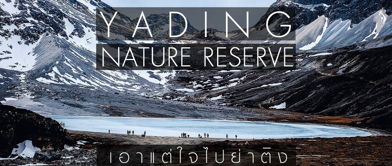 cover Yading Nature Reserve: Because Stubbornness Led Me to Yading