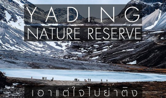 Cover Yading Nature Reserve: Because Stubbornness Led Me to Yading...