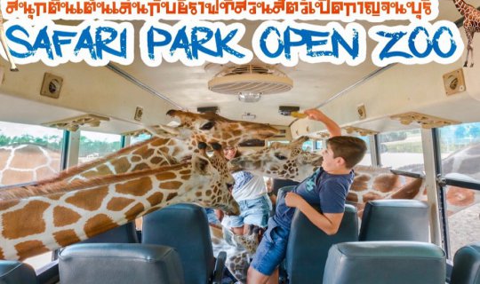 Cover Excitement playing with giraffes at Safari Park Open Zoo Kanchanabur...