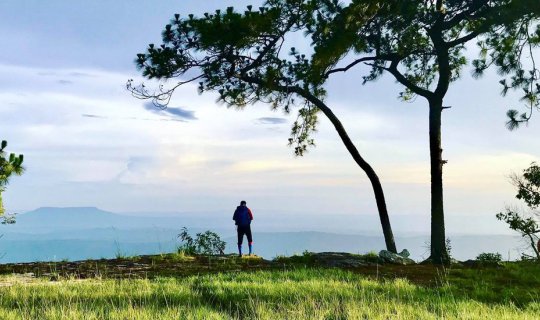 Cover To send you to sleep soundly, the rain closes the forest at Phu Krad...