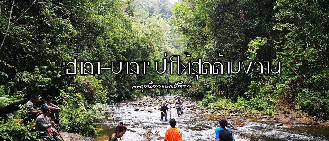 cover "Hala-Bala," the southernmost jungle of Thailand.