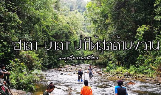 cover "Hala-Bala," the southernmost jungle of Thailand.