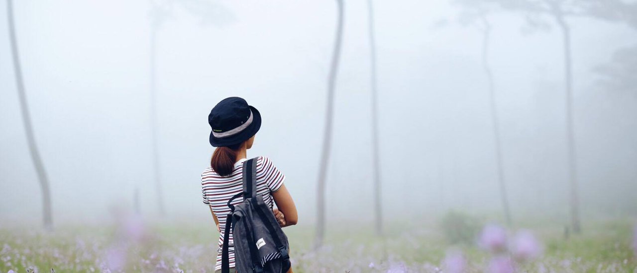 cover Letting the lonely heart float in the mist @ Phu Soi Dao