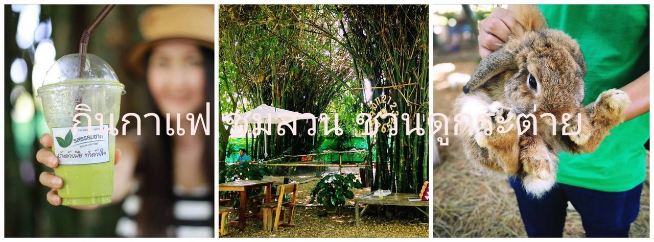 cover Enjoy a coffee while admiring the garden and watching the rabbits.
@ Natural Flavors