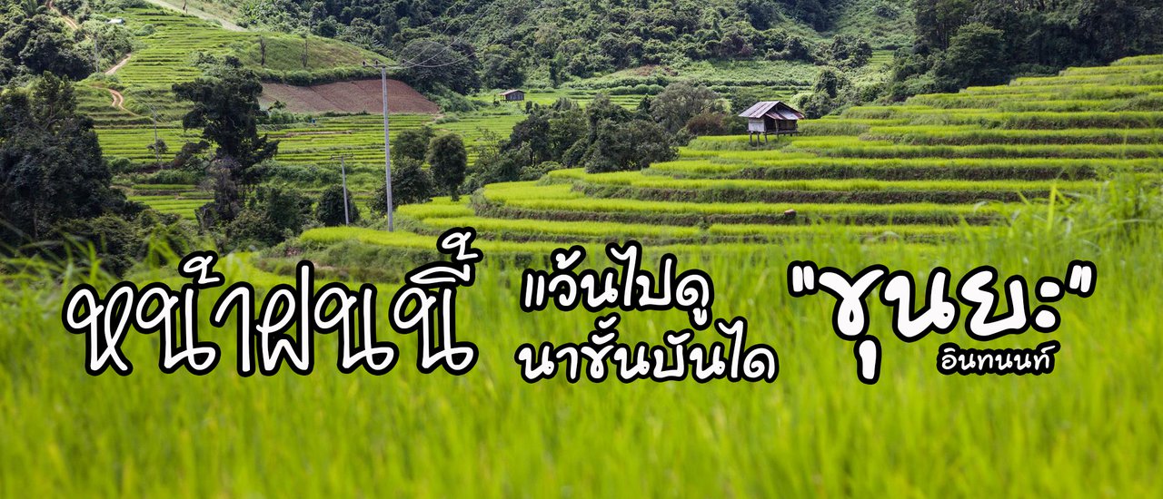 cover This rainy season, ride a motorbike to see the rice terraces at "Khun Ya", Doi Inthanon.