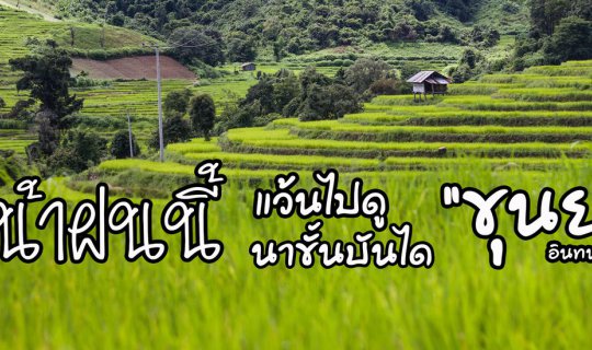 cover This rainy season, ride a motorbike to see the rice terraces at "Khun Ya", Doi Inthanon.