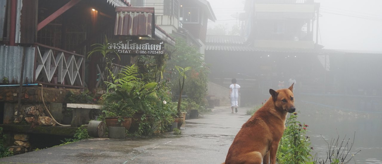 cover The translation of "ปิล็อกในหน้าฝน ไม่ได้แย่อย่างที่คิด" is:
"Pilok in the rainy season is not as bad as you think."