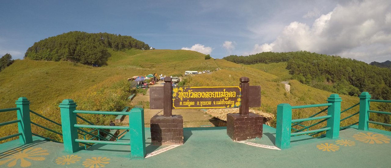 cover Doi Mae U Kho Bua Tong Field, Khun Yuam, Mae Hong Son