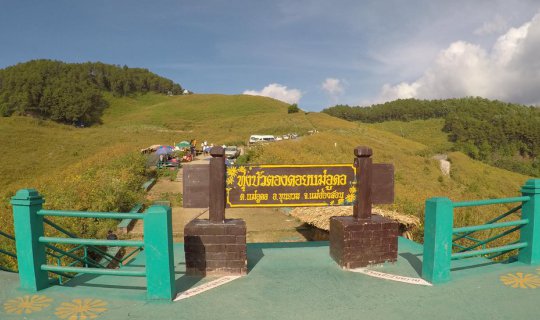 Cover Doi Mae U Kho Bua Tong Field, Khun Yuam, Mae Hong Son...