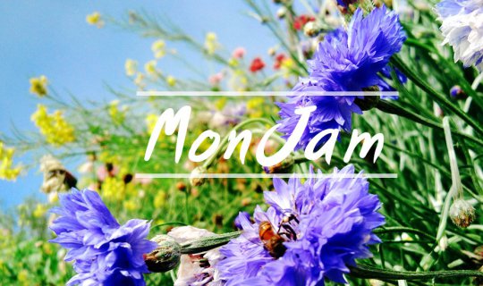 cover Mon Jam: Mountains, Mist and Flowers