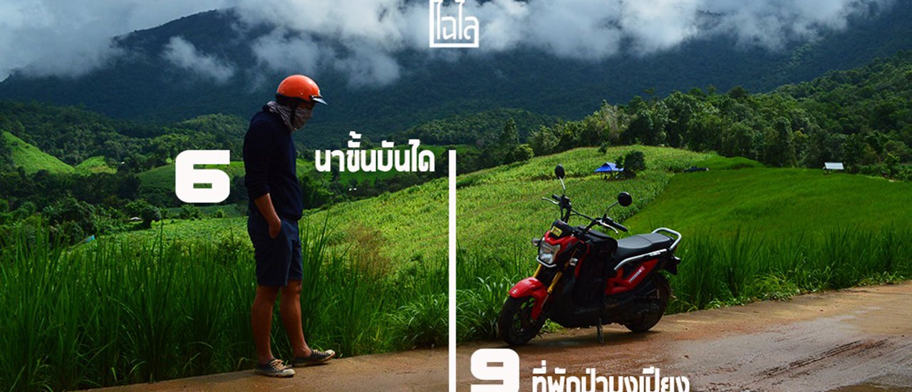 cover Seeking Green: Exploring 6 Rice Terraces in Chiang Mai + 9 Homestays in Ban Pa Bong Piang