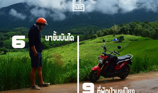 Cover Seeking Green: Exploring 6 Rice Terraces in Chiang Mai + 9 Homestays...