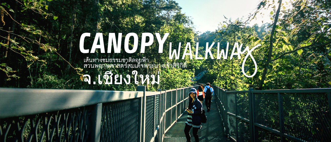 cover Canopy Walkway: Thailand's Longest Skywalk

The Canopy Walkway is the longest skywalk in Thailand, offering a unique perspective of the surrounding nature.