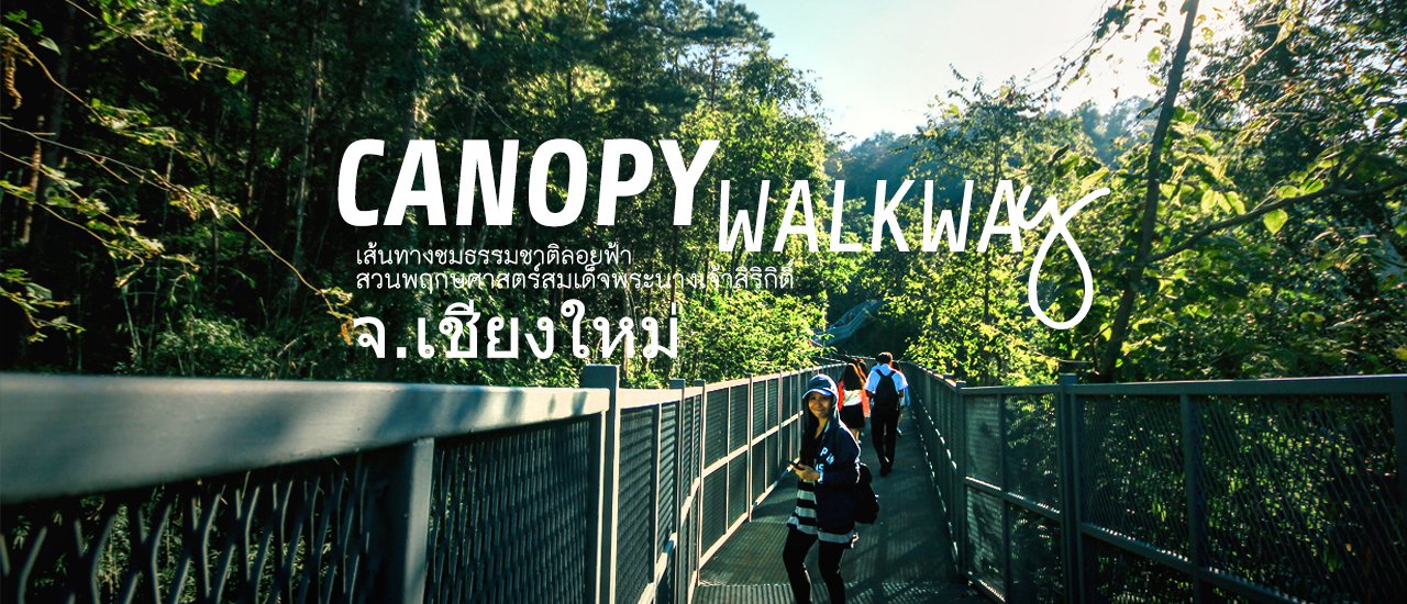 cover Canopy Walkway: Thailand's Longest Skywalk
The Canopy Walkway is the longest skywalk in Thailand, offering a unique perspective of the surrounding nature.