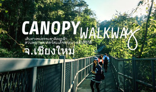 Cover Canopy Walkway: Thailand's Longest Skywalk

The Canopy Walkway is th...