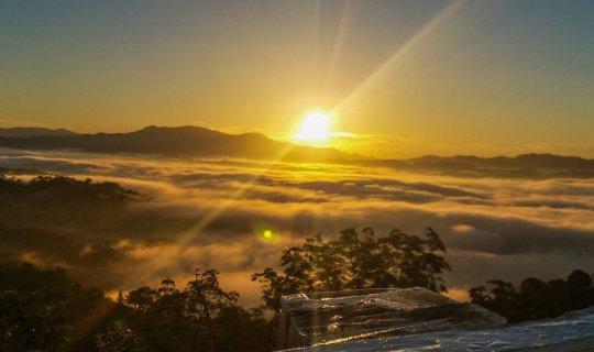 cover Southern Sea of Mist: Khao Khainui, Phang Nga