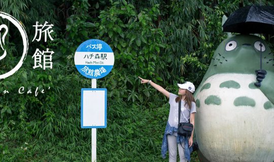 cover Seeking Totoro at Ryokan Cafe