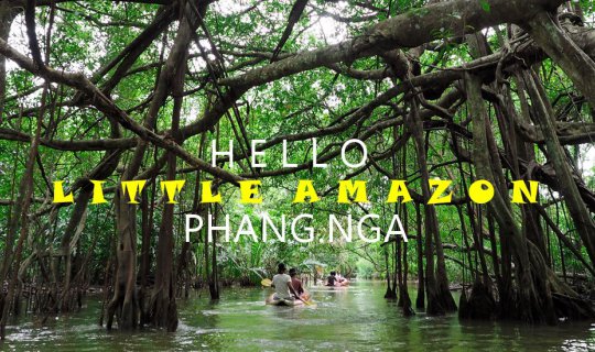 cover Hello Phang Nga: A Trip with Snakes at Little Amazon Takuapa, Phang Nga Province.