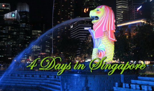 cover Singapore in 4 days for just over 8,000 baht!