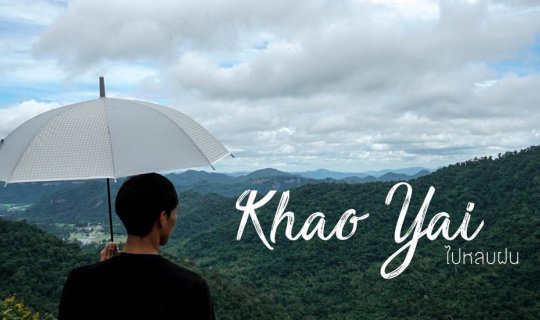 Cover Seeking shelter from the rain on Khao Yai Mountain....